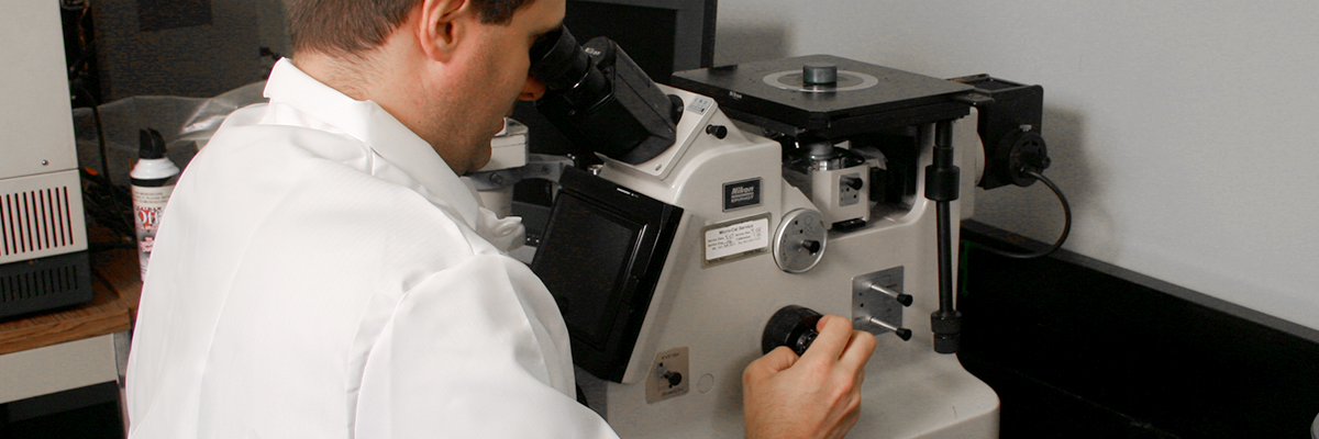 A scientist views a sample under a microscope