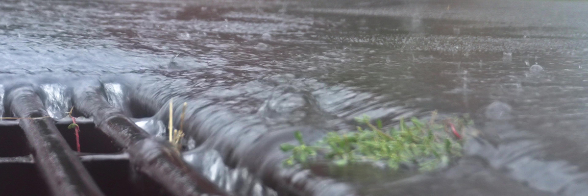 Storm Water Running into a Drain